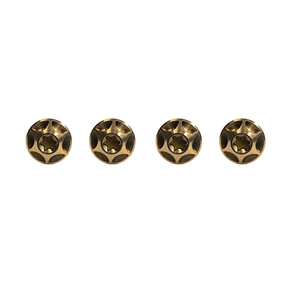 Silca Titanium Cage Bolts  (PACK OF 4)