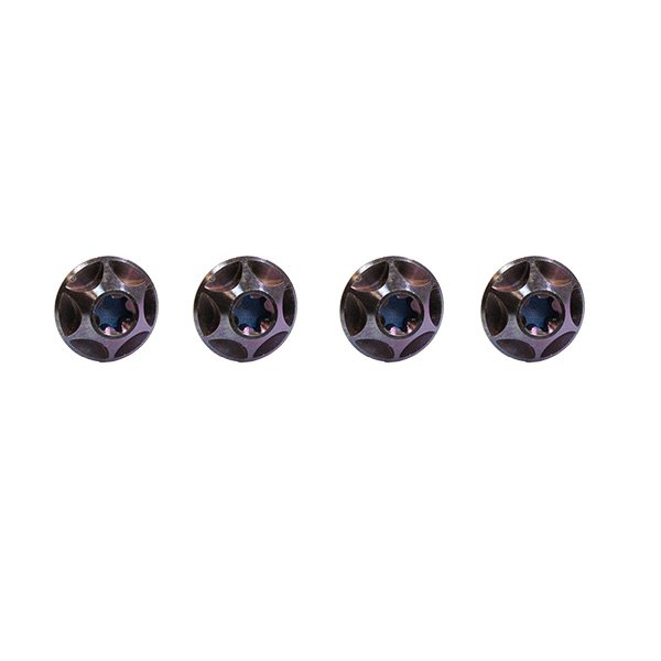 Silca Titanium Cage Bolts  (PACK OF 4)